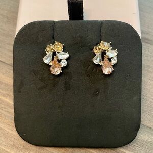 Pastel Crystal earrings